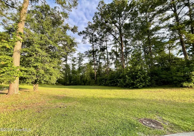 2nd image of 9738 Salty Apple Cir Ne, Leland, NC 28451 | MLS# 100552333