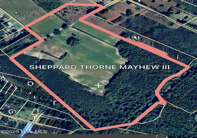 Photo 2 of Land for sale at 203 Lovick Ln, Washington, NC 27889 | MLS# 100491791 | Listing updated on 2026-07-01