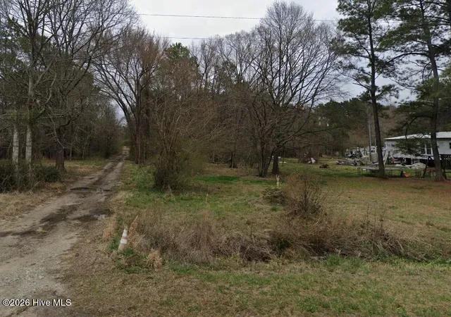 Homes for sale in Willard, NC | 0 Willard Rd, Willard, NC 28478 | MLS# 100585798