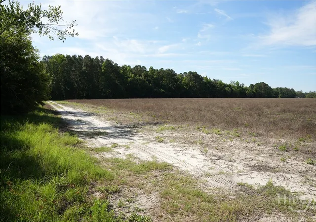 11th image of 1800 Olive Branch Road, Ellabell, GA 31308 | MLS# SA346672