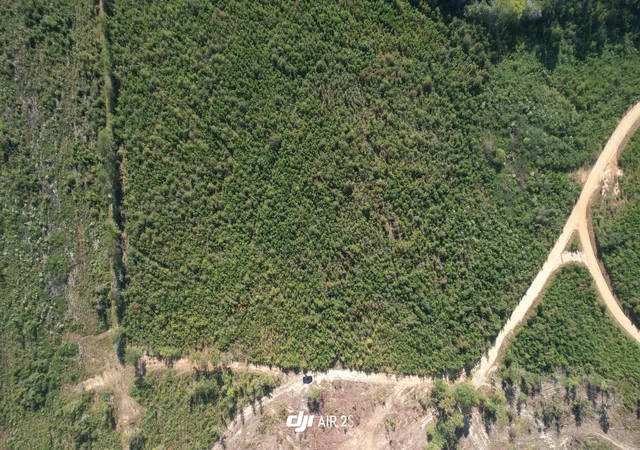 Photo 1 of Land for sale at 00 Moores Dr, Edgefield, SC 29824 | MLS# 98224880 | Listing updated on 2026-05-12