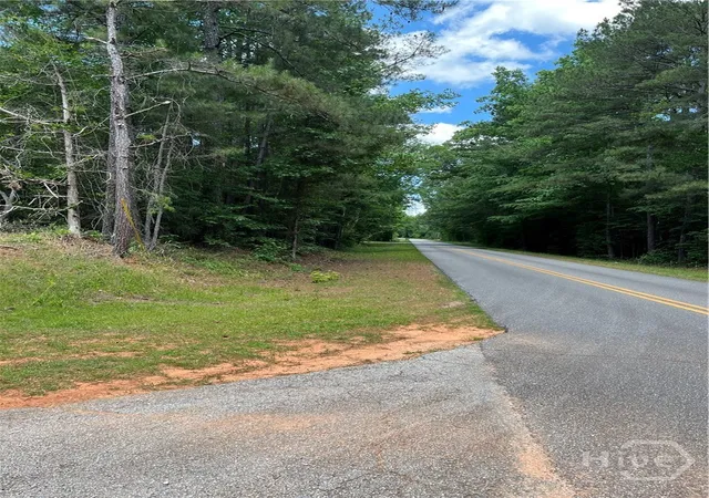 Homes for sale in Elberton, GA | 0 Stinchcomb Rd, Elberton, GA 30635 | MLS# CL356426