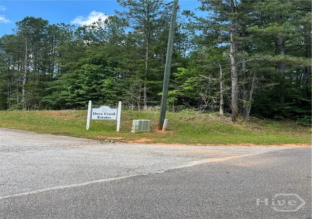 Homes for sale in Elberton, GA | 0 Stinchcomb Rd, Elberton, GA 30635 | MLS# CL356426