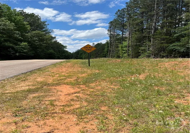 Homes for sale in Elberton, GA | 0 Stinchcomb Rd, Elberton, GA 30635 | MLS# CL356426