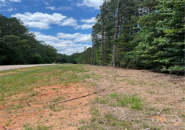 Homes for sale in Elberton, GA | 0 Stinchcomb Rd, Elberton, GA 30635 | MLS# CL356426