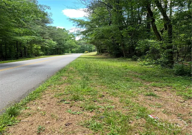 Homes for sale in Elberton, GA | 0 Stinchcomb Rd, Elberton, GA 30635 | MLS# CL356426