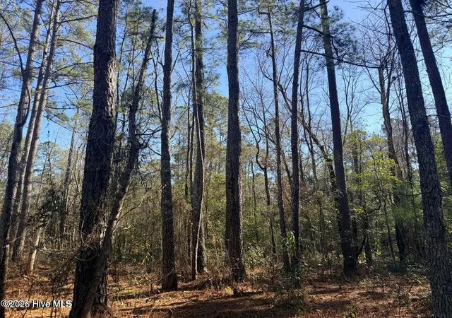 Homes for sale in Burgaw, NC | Lot 5 Peach Ct, Burgaw, NC 28425 | MLS# 100568970