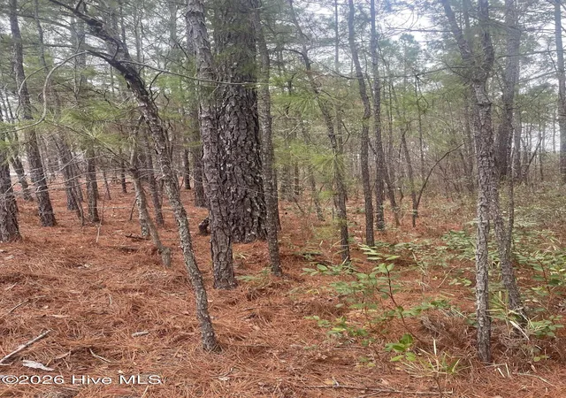 Photo 3 of Land for sale at Lot #6 Bumpy Ln, Sanford, NC 27332 | MLS# 100590913 | Listing updated on 2026-07-24