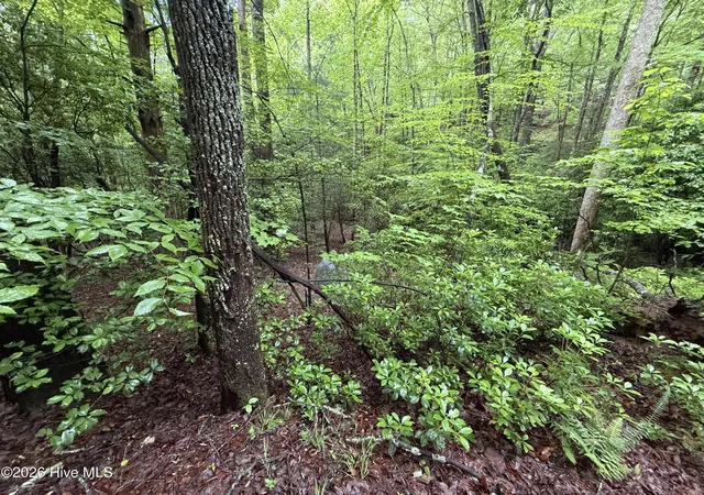 Photo 12 of Land for sale at Lot 28 Atoah Loop, Murphy, NC 28906 | MLS# 100596451 | Listing updated on 2026-08-18