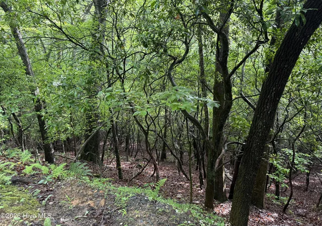 Photo 5 of Land for sale at Lot 28 Atoah Loop, Murphy, NC 28906 | MLS# 100596451 | Listing updated on 2026-08-18