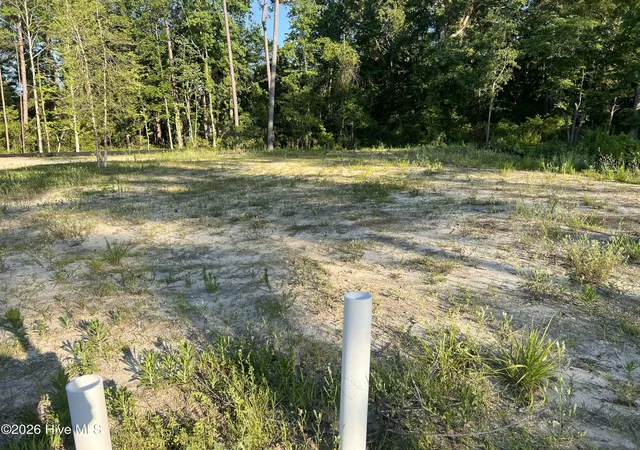 Photo 1 of Land for sale at 9069 National Ave Ne, Leland, NC 28451 | MLS# 100580809 | Listing updated on 2026-06-14