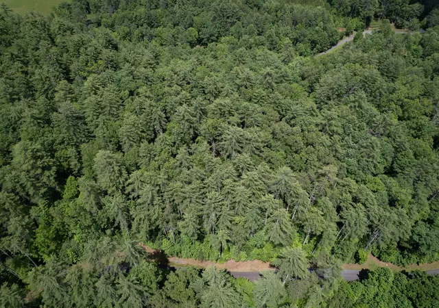 2nd image of Tbd Spectacular Blvd, Hayesville, NC 28904 | MLS# 98544102