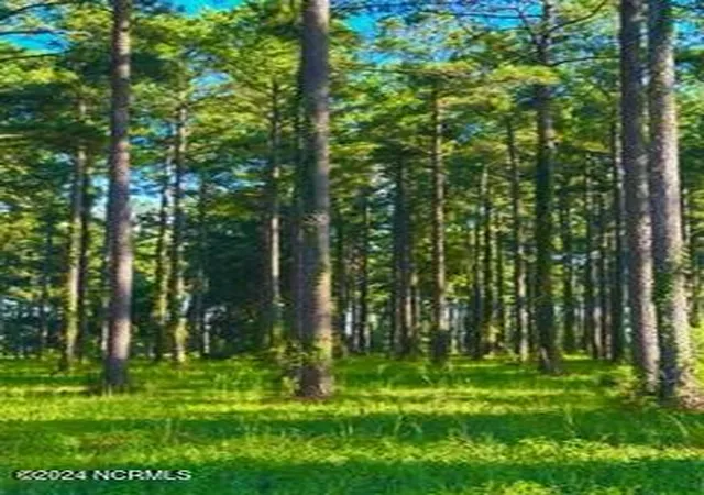 Photo 1 of Land for sale at 218 Cassie May Blvd, Oriental, NC 28571 | MLS# 100599717 | Listing updated on 2026-08-28