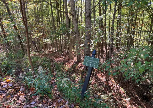 Photo 4 of Land for sale at 28/29 Sanctuary Dr, Murphy, NC 28906 | MLS# 98543865 | Listing updated on 2026-06-02