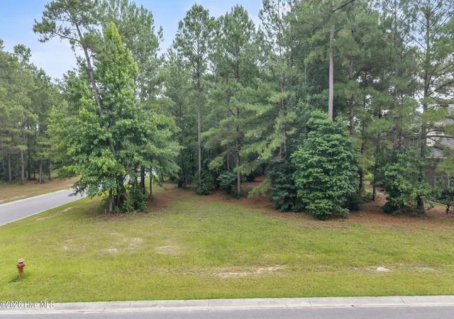 Photo 3 of Land for sale at 154 Muscadine Trl, Wallace, NC 28466 | MLS# 100590935 | Listing updated on 2026-08-18