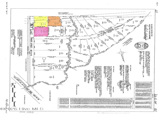 3rd image of 0 Pet Ln, Jacksonville, NC 28540 | MLS# 100573941