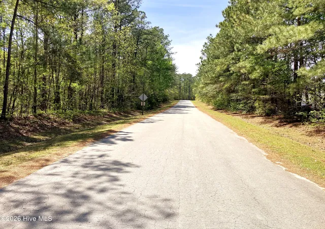 17th image of 00 Lukeath Carter Dr, Havelock, NC 28532 | MLS# 100565886