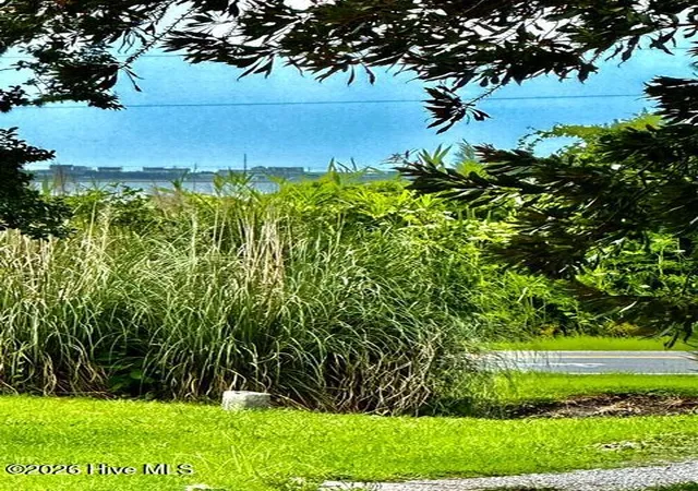 Photo 4 of Single family home for sale at 115 Pender Ln, Newport, NC 28570 | MLS# 100591491 | Listing updated on 2026-09-09