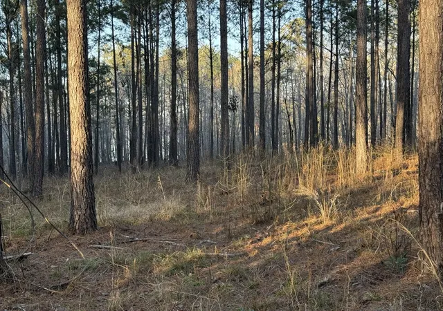 4th image of 00 Lighthouse Pt, Lincolnton, GA 30817 | MLS# 98224380