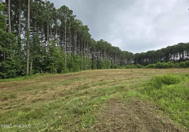 Homes for sale in Bailey, NC | Lot 50 Roseheath Court, Bailey, NC 27807 | MLS# 100518392