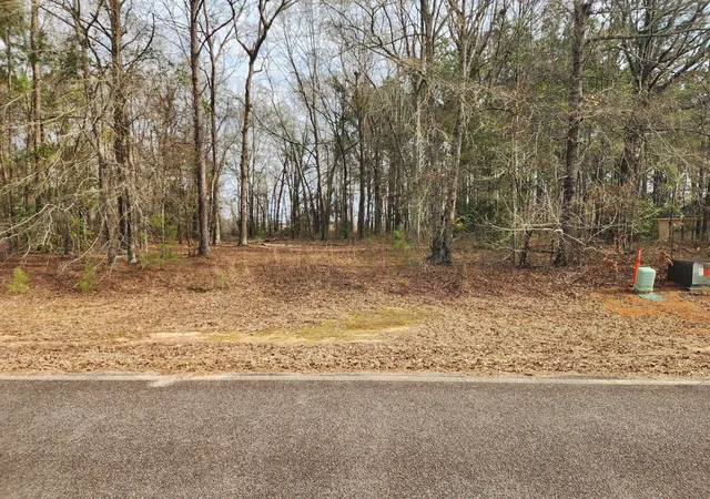 Homes for sale in Louisville, GA | 0 Cason Creek Subd, Louisville, GA 30434 | MLS# 98254574
