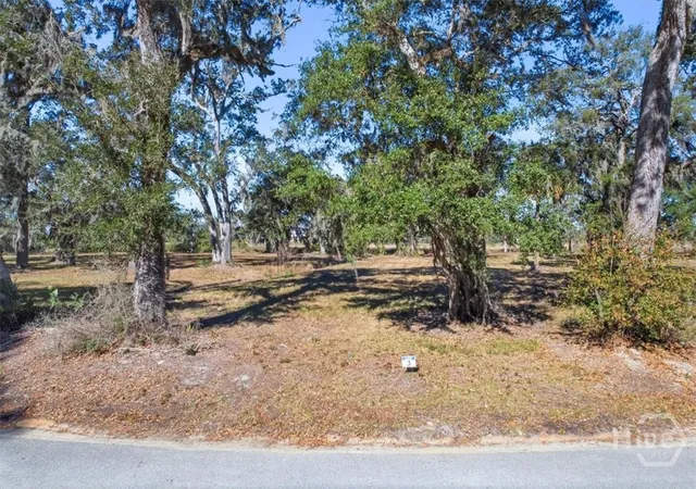 Homes for sale in Midway, GA | Lot 3 Bermuda Bluff Ln, Midway, GA 31320 | MLS# SA348556