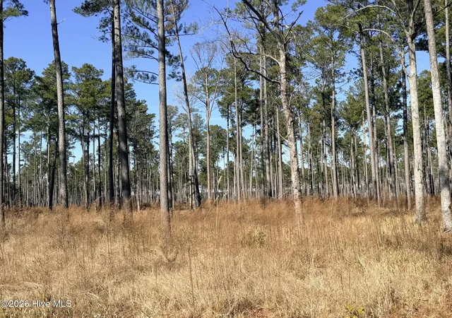 1st image of 0 Sr 1119 Off, Chocowinity, NC 27817 | MLS# 100551018