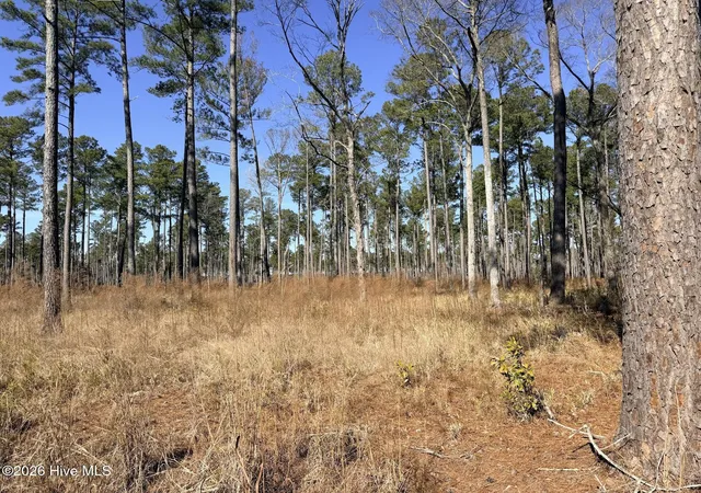 2nd image of 0 Sr 1119 Off, Chocowinity, NC 27817 | MLS# 100551018