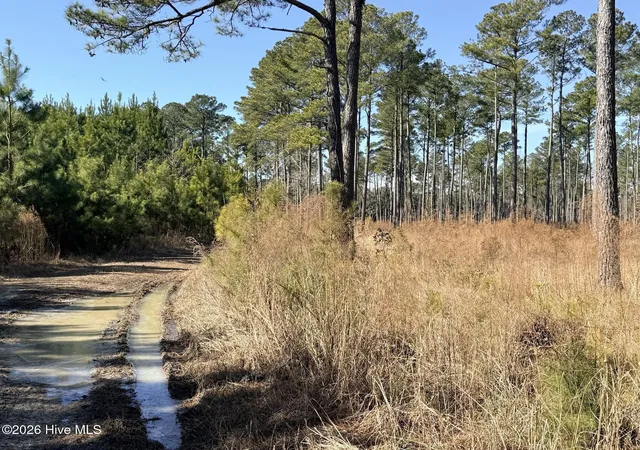 4th image of 0 Sr 1119 Off, Chocowinity, NC 27817 | MLS# 100551018