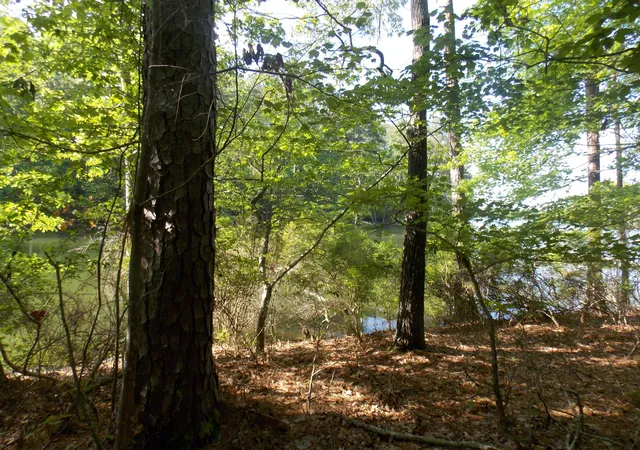2nd image of 12 Riverview Ct, Lincolnton, GA 30817 | MLS# 98224298