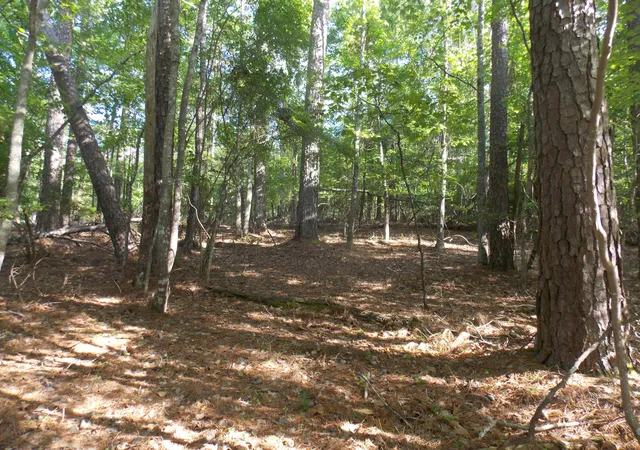 3rd image of 12 Riverview Ct, Lincolnton, GA 30817 | MLS# 98224298