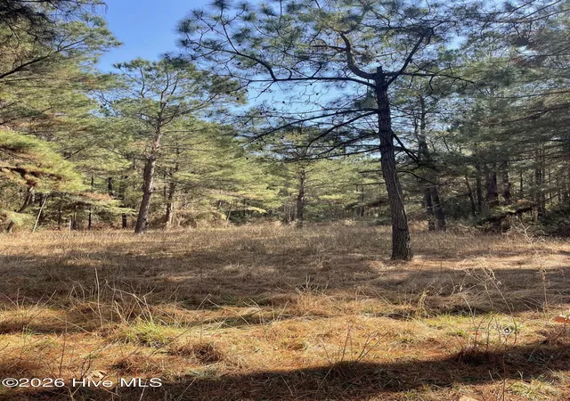 Photo 4 of Land for sale at 116 Garbacon Dr, Beaufort, NC 28516 | MLS# 100556685 | Listing updated on 2026-03-07