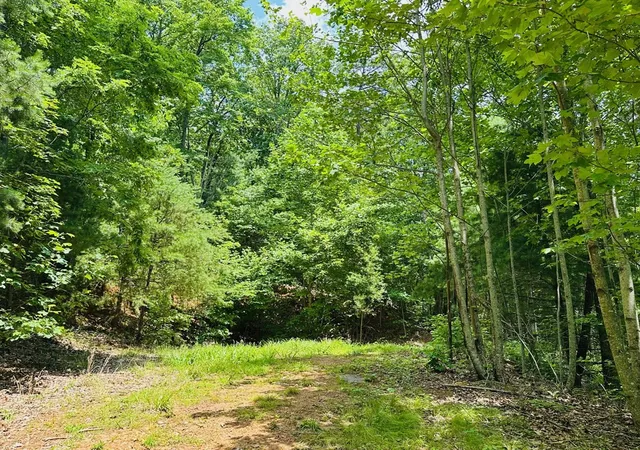 Photo 1 of Land for sale at Lot 15 View Ridge Trl, Murphy, NC 28906 | MLS# 100593558 | Listing updated on 2026-10-07