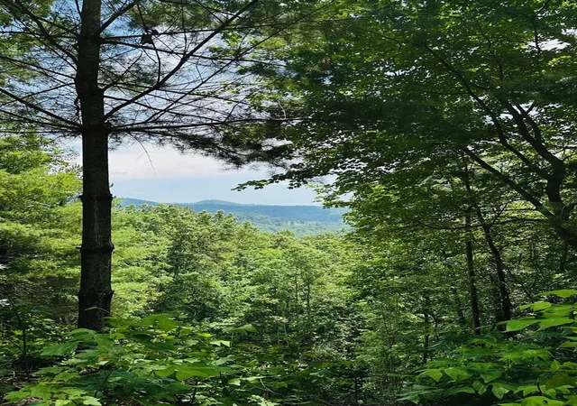 Photo 3 of Land for sale at Lot 15 View Ridge Trl, Murphy, NC 28906 | MLS# 100593558 | Listing updated on 2026-10-07