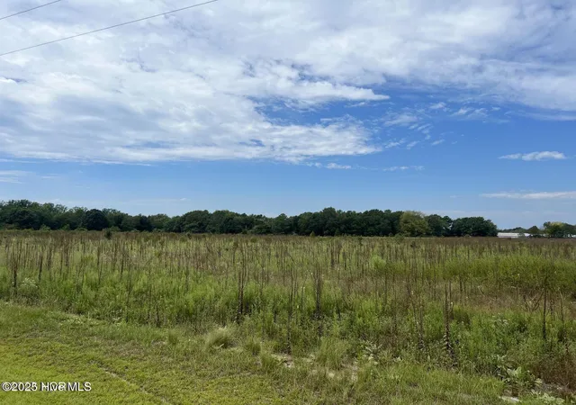 Homes for sale in Ellerbe, NC | Tbd Crawford Rd, Ellerbe, NC 28338 | MLS# 100534765
