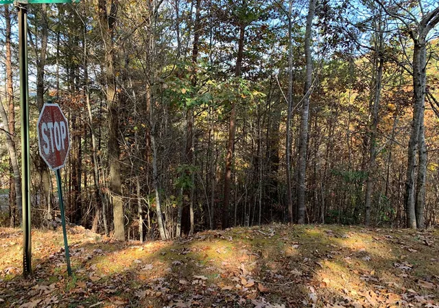 Homes for sale in Warne, NC | 25&26 Mountain Knoll Ln, Warne, NC 28909 | MLS# 98543661