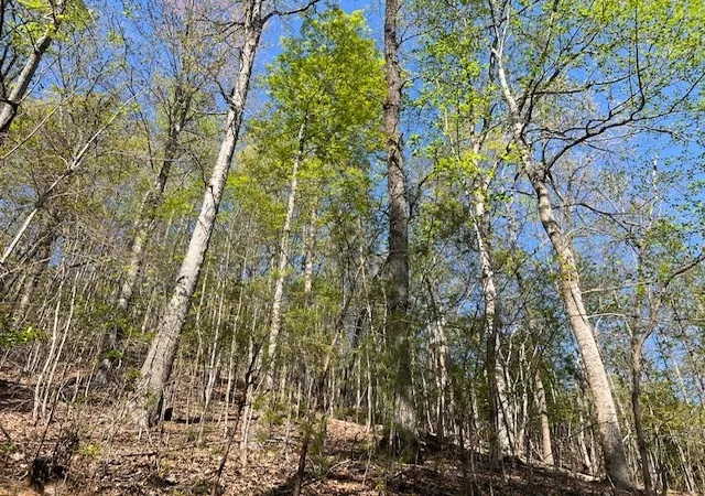 Homes for sale in Hayesville, NC | Lot 2b Grandview Dr, Hayesville, NC 28904 | MLS# 98525068