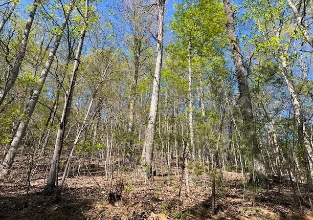 Homes for sale in Hayesville, NC | Lot 2b Grandview Dr, Hayesville, NC 28904 | MLS# 98525068