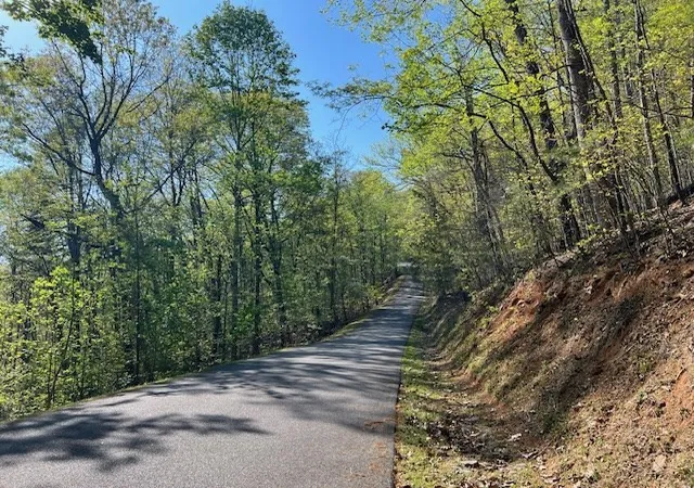Homes for sale in Hayesville, NC | Lot 2B Grandview Dr, Hayesville, NC 28904 | MLS# 98525068