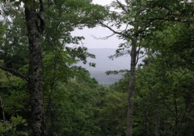 Photo 1 of Land for sale at 19d&e Braves Lndg, Murphy, NC 28906 | MLS# 98525208 | Listing updated on 2026-06-01