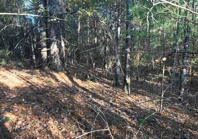 Photo 2 of Land for sale at 19d&e Braves Lndg, Murphy, NC 28906 | MLS# 98525208 | Listing updated on 2026-06-01