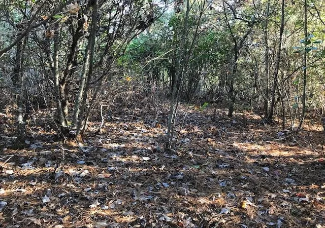 Photo 3 of Land for sale at 19d&e Braves Lndg, Murphy, NC 28906 | MLS# 98525208 | Listing updated on 2026-06-01