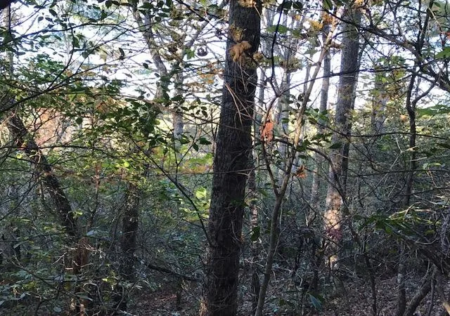 Photo 3 of Land for sale at 19D&E Braves Lndg, Murphy, NC 28906 | MLS# 98525208 | Listing updated on 2026-06-01