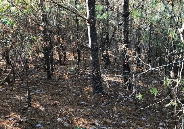 Photo 4 of Land for sale at 19D&E Braves Lndg, Murphy, NC 28906 | MLS# 98525208 | Listing updated on 2026-06-01
