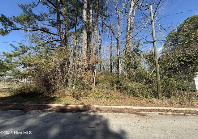 Photo 2 of Land for sale at 1041 Water St, Jamesville, NC 27846 | MLS# 100557244 | Listing updated on 2026-08-27