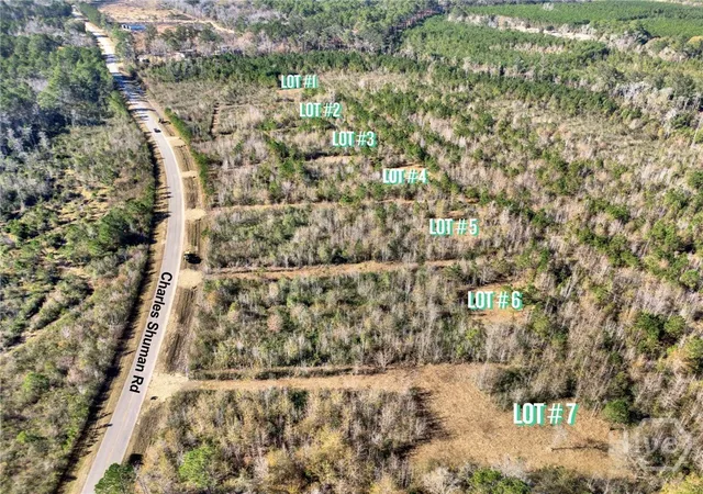 Homes for sale in Pembroke, GA | Lot 4 Charles Shuman Rd, Pembroke, GA 31321 | MLS# SA340261