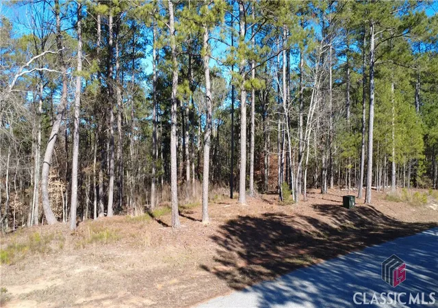 Homes for sale in Elberton, GA | 1051 Bluff Rd, Elberton, GA 30635 | MLS# CM1023041