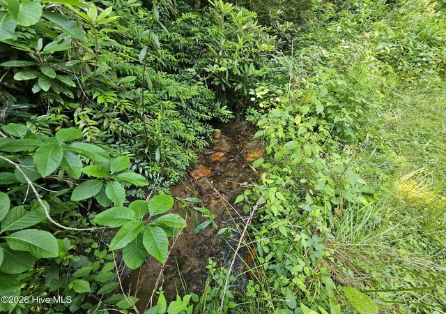 Photo 2 of Land for sale at 31 Acres Upper Bear Paw Rd, Murphy, NC 28906 | MLS# 100586652 | Listing updated on 2026-08-18