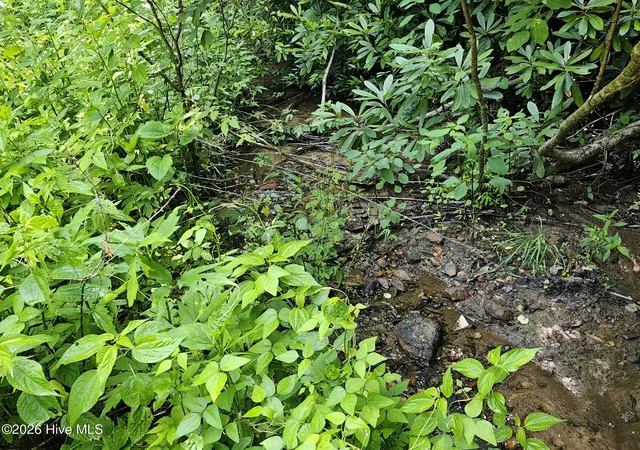 Photo 3 of Land for sale at 31 Acres Upper Bear Paw Rd, Murphy, NC 28906 | MLS# 100586652 | Listing updated on 2026-08-18