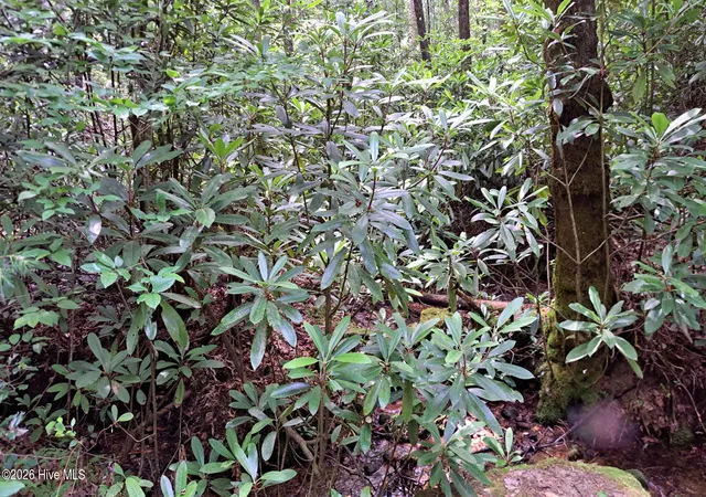 Photo 4 of Land for sale at 31 Acres Upper Bear Paw Rd, Murphy, NC 28906 | MLS# 100586652 | Listing updated on 2026-08-18